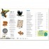 Dorling Kindersley Verlag memo Wissen entdecken: Bedrohte Tiere