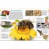 Dorling Kindersley Verlag memo Wissen entdecken: Bedrohte Tiere