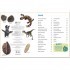 Dorling Kindersley Verlag memo Wissen entdecken: Dinosaurier