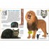 Dorling Kindersley Verlag memo Wissen entdecken: Katzen