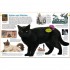 Dorling Kindersley Verlag memo Wissen entdecken: Katzen