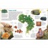 Dorling Kindersley Verlag memo Wissen entdecken: Ozeane
