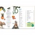 Dorling Kindersley Verlag memo Wissen entdecken: Regenwald