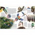 Dorling Kindersley Verlag memo Wissen entdecken: Regenwald