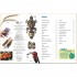 Dorling Kindersley Verlag memo Wissen entdecken: Wirtschaft