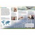 Dorling Kindersley Verlag memo Wissen entdecken: Wirtschaft