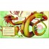 White Star The Great Book of Dragons