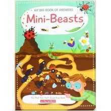 Yoyo Books My Big Book of Answers: Mini-Beasts