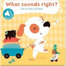 Yoyo Books What Sounds Right? Pets