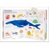 Twirl Books The Ultimate Book of Animals
