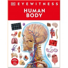 Human Body Dorling Kindersley