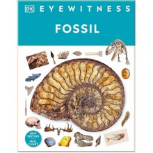 Fossil Dorling Kindersley