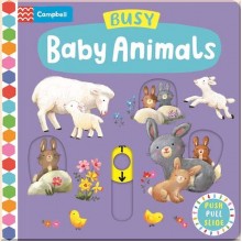 Busy Baby Animals Pan Macmillan