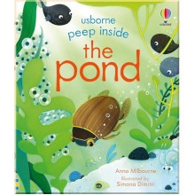 Peep inside the Pond Usborne
