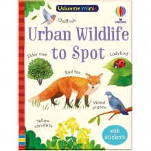Urban Wildlife to Spot Usborne