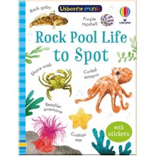 Rock Pool Life to Spot Usborne