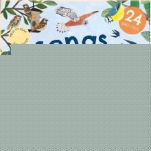 Songs of the Birds Little Tiger Press Group