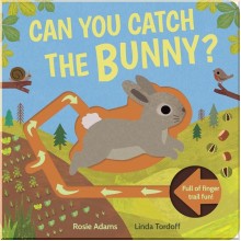Can You Catch the Bunny? Little Tiger Press Group