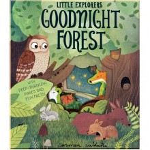 Little Explorers: Goodnight Forest Little Tiger Press Group