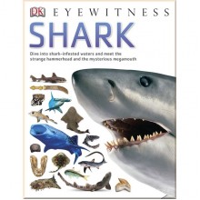 DK Shark