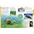 DK Ocean A Children's Encyclopedia