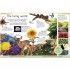 DK First Science Encyclopedia