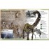 DK First Dinosaur Encyclopedia