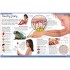 DK First Human Body Encyclopedia