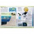 DK First Earth Encyclopedia