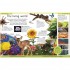 DK First Children's Encyclopedia
