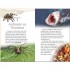 DK Spiders and Other Deadly Animals