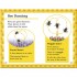 DK Amazing Bees