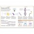 DK How to Be Good at Science, Technology, and Engineering