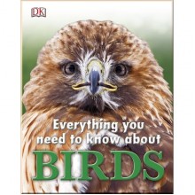 DK Everything You Need to Know About Birds
