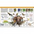 DK Knowledge Encyclopedia Animal!
