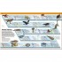 DK Knowledge Encyclopedia Animal!