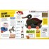 DK LEGO Absolutely Everything You Need to Know