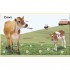 DK My First Farm