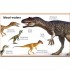 DK My First Dinosaur