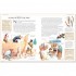 DK The Illustrated Family Bible