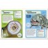 DK Sharks and Other Deadly Ocean Creatures