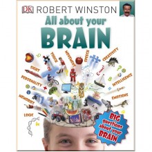 DK All About Your Brain