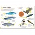 DK Sharks Ultimate Sticker Book