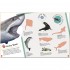 DK Sharks Ultimate Sticker Book