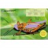 DK Bugs Ultimate Sticker Book
