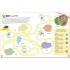 DK Bugs Ultimate Sticker Book