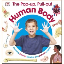 DK The Pop-up, Pull-out Human Body