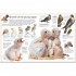 DK Eagle and Birds of Prey