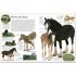 DK Horse