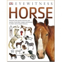 DK Horse